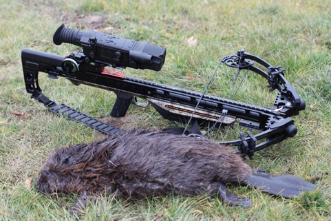 Арбалет Mission MXB360 на охоте на бобра